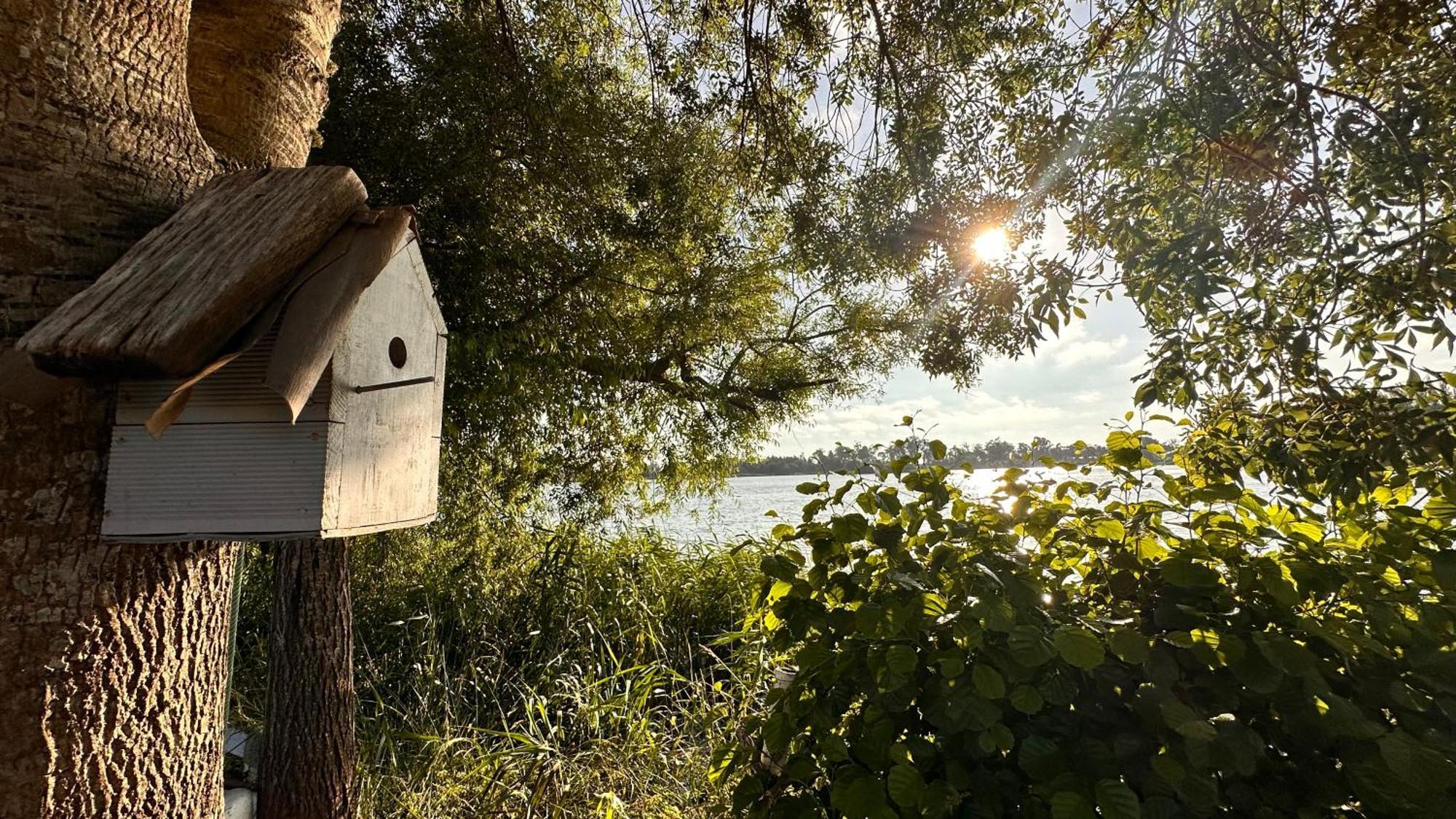 Casa Do Areal, Refugio Das Rotas Pedestres Em Mira Mira  Ngoại thất bức ảnh